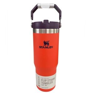 🧡💜Stanley Special Edition Bold Orange & Purple Flip Straw Tumbler, 30oz. NWT!